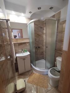 a bathroom with a shower and a toilet and a sink at Noclegi Pod Lipami in Zwierzyniec