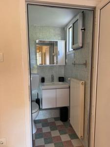 a bathroom with a sink and a toilet at The Garden Studio AVLI Upper Vrasna in Nea Vrasna