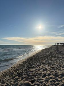 a beach with the sun shining on the water at Poggio sul Mare in Alberese