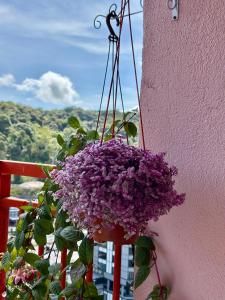 a purple flower pot hanging from a wall at Yunis Cottage Tranquil mountain views Centrum Cameron Highlands in Brinchang