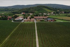 an aerial view of a vineyard in front of a house at Travel Baiot'S in Villanova di Farra