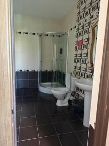 a bathroom with a toilet and a shower and a sink at Rif Burabay in Borovoye