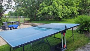 a blue ping pong table in a yard at Beskydy apartman Four Seasons in Hnojní