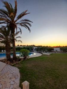 a palm tree and a swimming pool at sunset at Darelkhir in Tazarka
