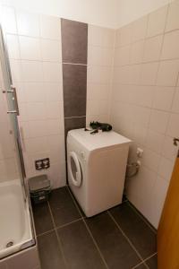 a washing machine in a bathroom with a cat sitting on it at B10 Rooms in Baden-Baden