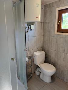 a small bathroom with a toilet and a shower at Pod starą chatą 2 in Wicie
