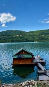 a cabin on a dock on a lake at Viridian Three Boathouse Micah, PERUCAC LAKE in Perućac +31 photos