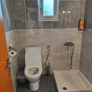 a small bathroom with a toilet and a shower at Matenia’s house in Mángana +19 photos
