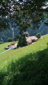 a field of grass with houses in the background at Knappnhof in Campo di Trens