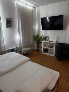 a bedroom with a bed and a flat screen tv at Klein aber fein in Meiningen in Meiningen