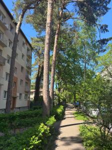 a path in a park with trees and a building at Jurmala Cozy Vibes - self check in in Jūrmala