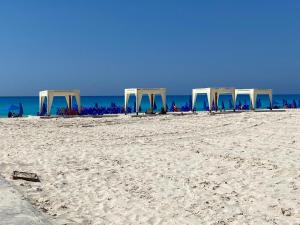 a row of blue chairs on a sandy beach at فيلا التجاريين in Dawwār ‘Abd Allāh