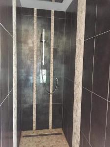 a shower in a bathroom with black tiles at L'éphémère-Private Spa in Plérin +10 photos