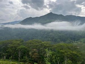 a view of a mountain with clouds and trees at Knuckles Retreat in Huluganga