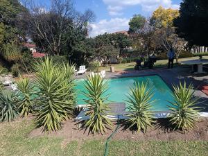 a small pool with two palm trees in a park at Fourways guesthouse & spa in Fourways