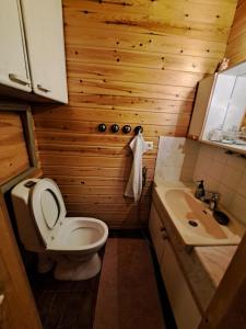 a small bathroom with a toilet and a sink at Villa Kalkonniemi in Kemijärvi +29 photos