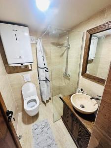 a bathroom with a toilet and a sink and a shower at Falcon Cottage,Montenegro in Korita