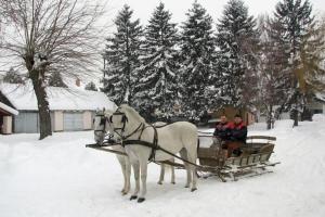 Apartman Peric v zimě