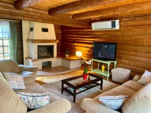 a living room with couches and a television in a cabin at Pine River Dobrenica in Bihać