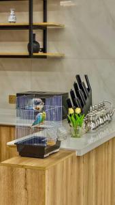a bird in a cage on top of a counter at سمسمه للشقق المخدومه in Quai