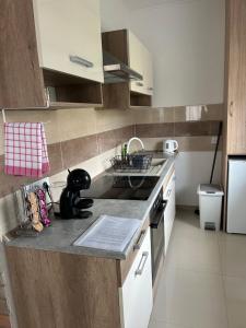 a kitchen with a sink and a stove top oven at Murvafürt Vendégház in Cserkeszőlő +2 photos