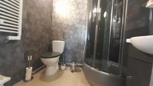a bathroom with a shower and a toilet and a sink at T2 en duplex spacieux et central in Andernos-les-Bains
