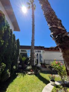 a palm tree in the yard of a house at Blue House in Martinsicuro