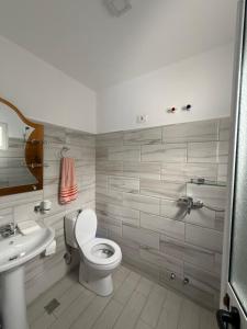 a bathroom with a toilet and a sink at Riverside Rooms Klos in Klos