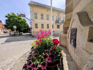 a bunch of flowers in a pot next to a building at Serviced Rooms ''Krone'' in Creglingen