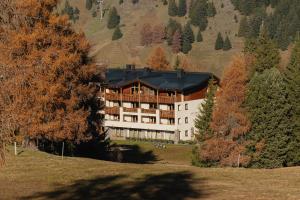 a large building on top of a hill with trees at Hotel Steger-Dellai in Alpe di Siusi