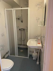a bathroom with a shower and a sink and a toilet at Nya Dacke in Virserum