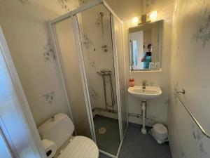 a bathroom with a shower and a toilet and a sink at Nya Dacke in Virserum