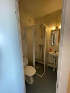 a bathroom with a toilet and a shower and a sink at Nya Dacke in Virserum