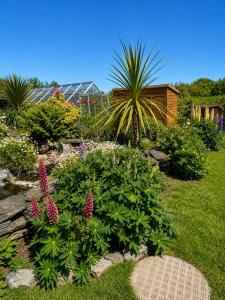 a garden with flowers and plants in a yard at The Old Smithy in Trefriw