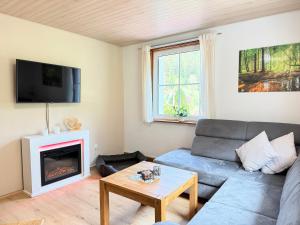 a living room with a couch and a fireplace at Schwarzwaldhaus Zwink Ferienhaus in Enzklösterle