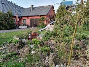 a garden in front of a house at Rita's FeWo in Grossschönau