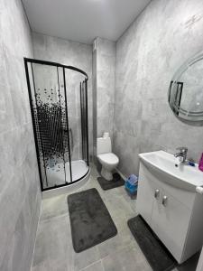 a bathroom with a shower and a toilet and a sink at APARTMENT CENTRAL zm in Edineţ