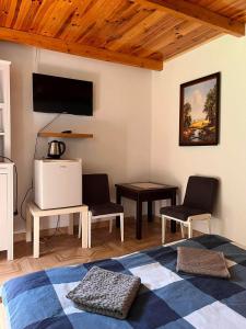 a bedroom with a bed and a tv and chairs at Pokoje Gościnne Ojcowska Kraina Pieskowa Skała Ojców in Pieskowa Skała
