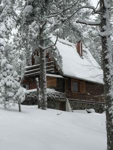 a log cabin with snow on the roof at Viridian Three Accommodation, Three Winds in Divčibare