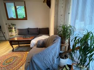 a living room with a couch and a table at Montana Appartment in Planay