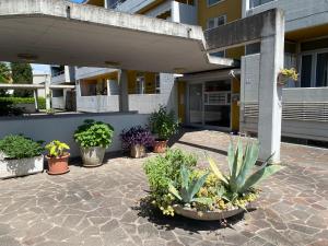 a group of potted plants in front of a building at Anna's Cozy Nest a Udine in Udine