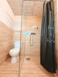 a bathroom with a toilet and a glass shower at Pensiunea Johanna in Arad +55 photos