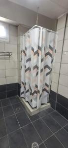 a shower stall with a shower curtain in a bathroom at Alekas Garden View Studios in Kos