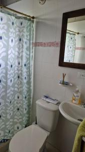 a bathroom with a toilet and a sink and a shower curtain at Casa campestre in Guarne +5 photos