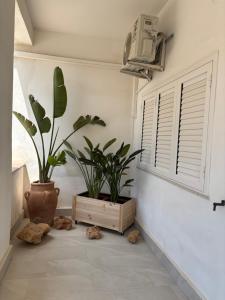a room with two potted plants and a window at Casa Lucia in Calabernardo