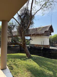a tree in front of a building with a fence at Caly Luxury Home in Nelspruit