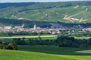 a green hillside with a town in the distance at Le Ptit Refuge d'Ay in Ay