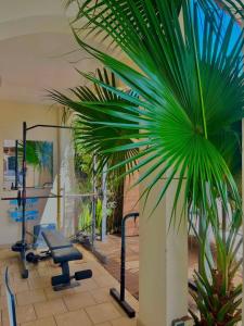 a gym with exercise equipment and a palm tree at VILLA CAP détente et SPA in Saint-Louis