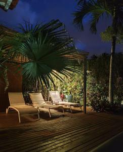 two lounge chairs and a palm tree on a deck at night at VILLA CAP détente et SPA in Saint-Louis