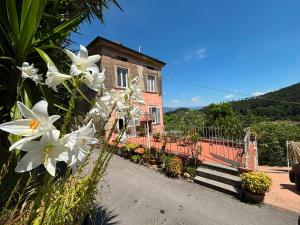 a house with white flowers in front of it at Le Balze in Capannori +18 photos